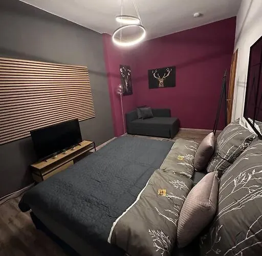 3 Mitten In Altstadt - * 科布倫茨